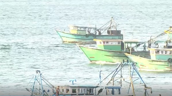  விடுவிக்க வலியுறுத்தல் 