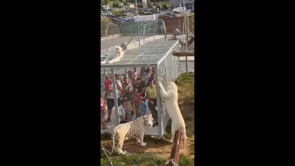 திகிலூட்டும் வகையில்... திகிலூட்டும் வகையில்...