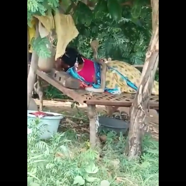  பாம்பு.. பாம்பு..