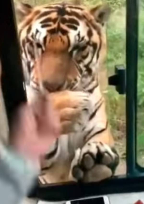  டிரெண்ட் ஹிட்