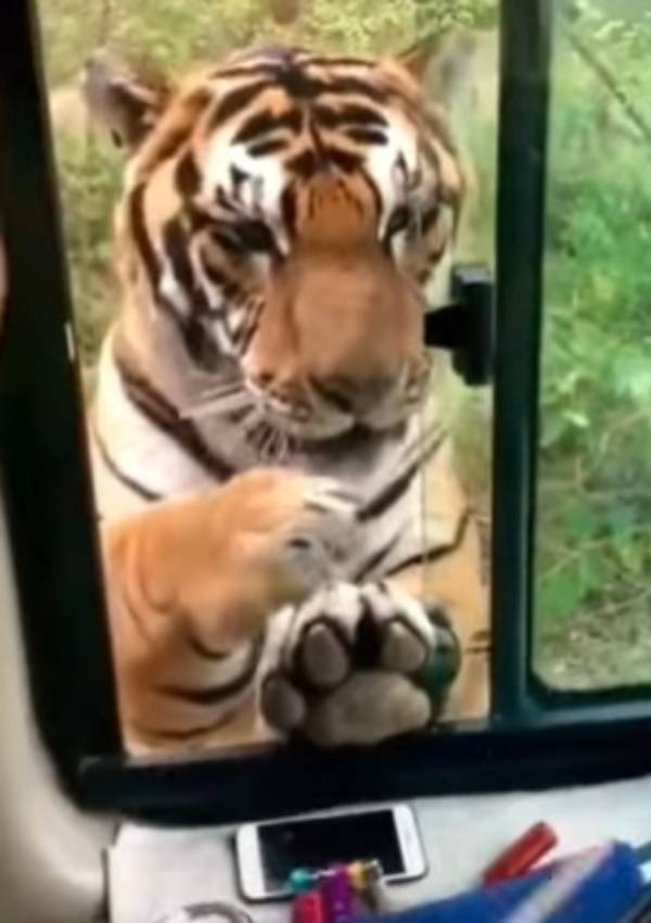  நெட்டிசன்களின் பலவித கருத்துகள்