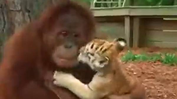  அனைத்திற்கும் மேலானது