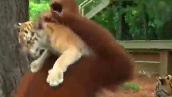  நெட்டிசன்கள் கருத்து