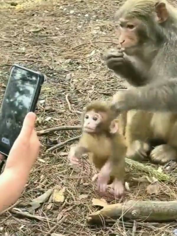  எனக்கு இது வேணும்..