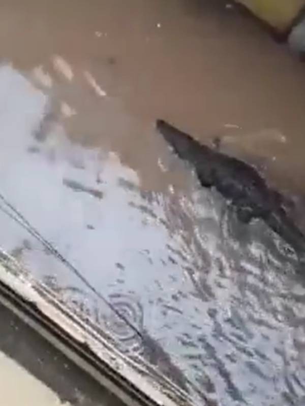 ஊருக்குள் புகுந்த வெள்ளம் ஊருக்குள் புகுந்த வெள்ளம்