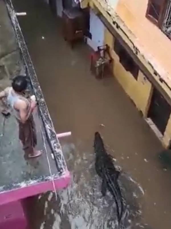 சமூக வலைத்தளத்தில் பரவும் வீடியோ சமூக வலைத்தளத்தில் பரவும் வீடியோ