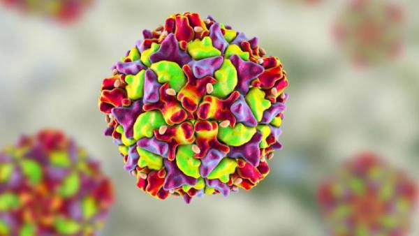  போலியோ பரவுவதற்கான சான்று