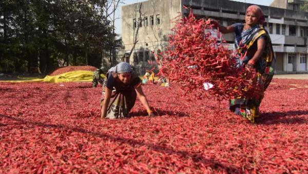 விலை குறையும் 