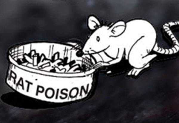  அரசின் நடவடிக்கை சரியா? 