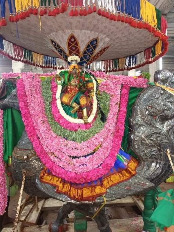 சிவப்பு சாத்திய சண்முகர் தரிசனம் 