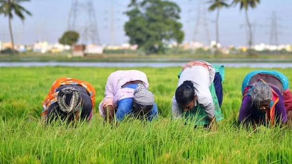  விவசாயிகள் சங்கம்