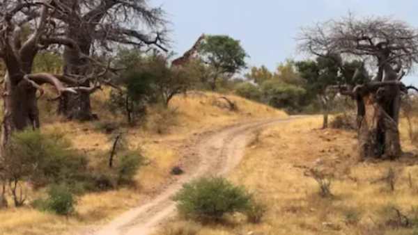  கண்டுபிடிக்க முதல் குழு