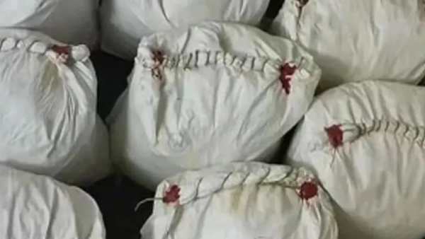  உடல் எடையை குறைக்க கஞ்சா 