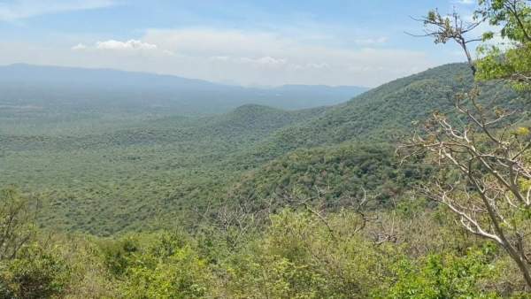  சமூக விரோதிகள் 