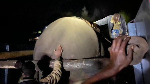  Anaikatti Injured Elephant - Forest Department Intensifies Search