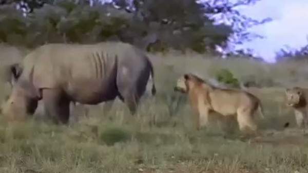  டிரெயினிங்கில கூட இப்படி ஓடலடா