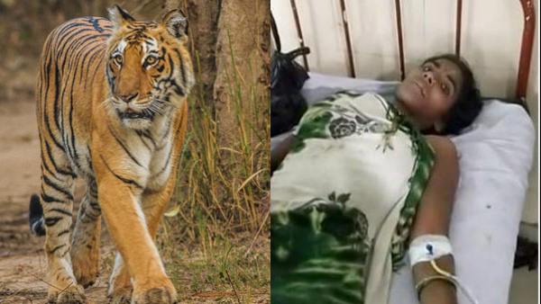 தீவிர சிகிச்சைக்கு பின் தாய் - சேய் நலம் 