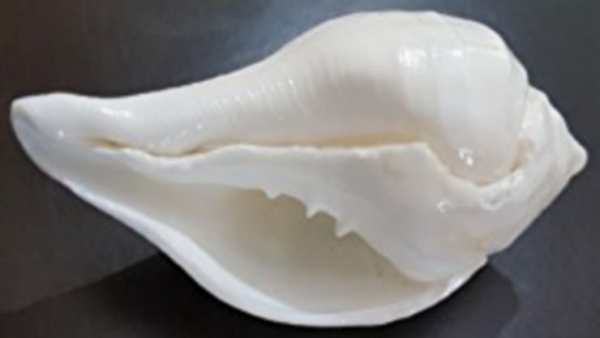 பூஜை அறையில் இருக்க வேண்டியவை 