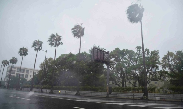 சுனாமி எச்சரிக்கை சுனாமி எச்சரிக்கை