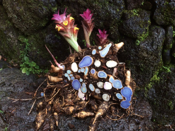 தோஷம் போக்கும் கருப்பு மஞ்சள் 