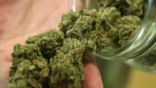 நீதிபதி வேதனை 