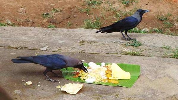  காக வடிவத்தில் முன்னோர்கள்
