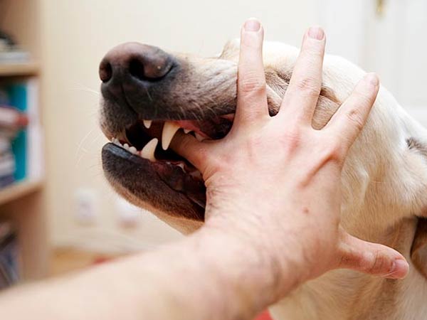  தடுப்பூசியில் அலட்சியம் வேண்டாம். 