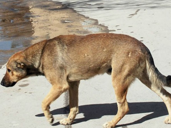 மக்கள் அச்சம் 