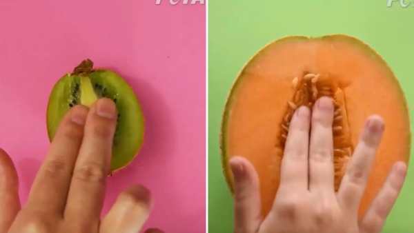 மாமிசம் மாமிசம்