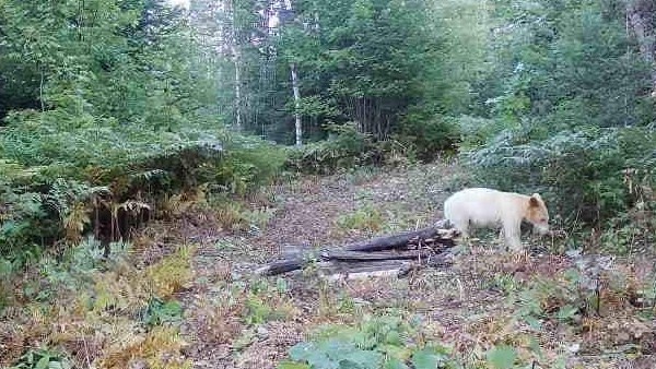 ஒன்றே ஒன்று 