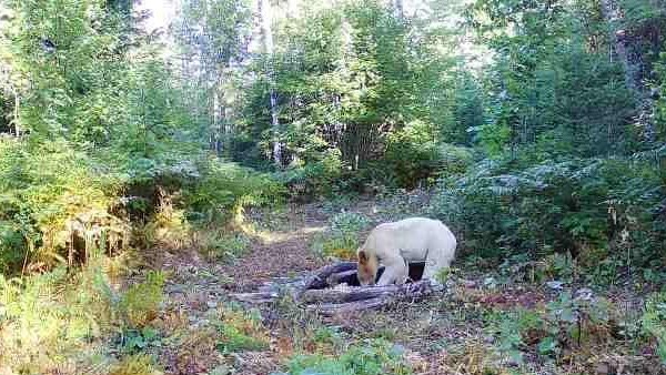 நம்பிக்கை 