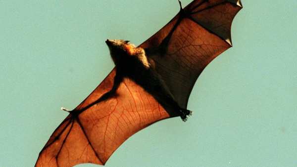 அமெரிக்கா ஆய்வாளர்கள் அமெரிக்கா ஆய்வாளர்கள்