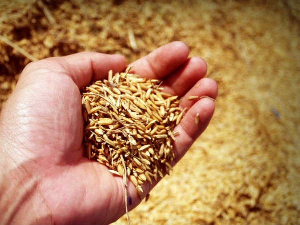 உச்சநீதிமன்றம் வழக்கு 