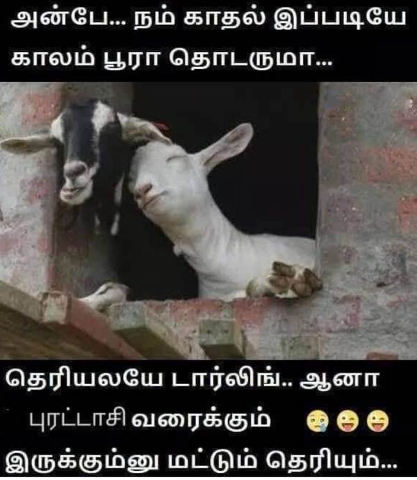 Funny memes collection on purattasi month ending