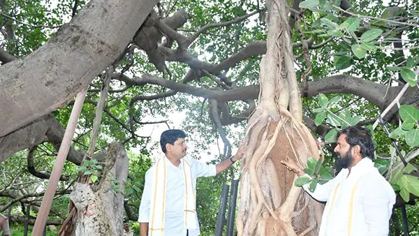 ஏன் இந்த பெயர்? 