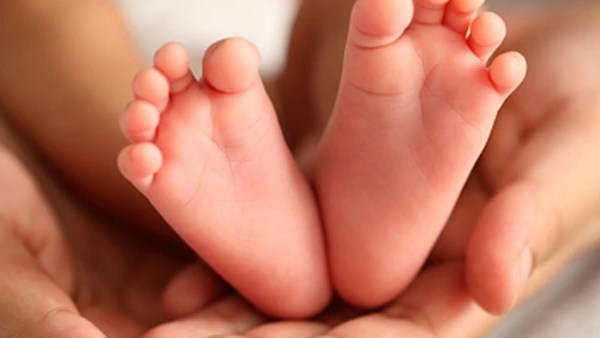 விதிகள்