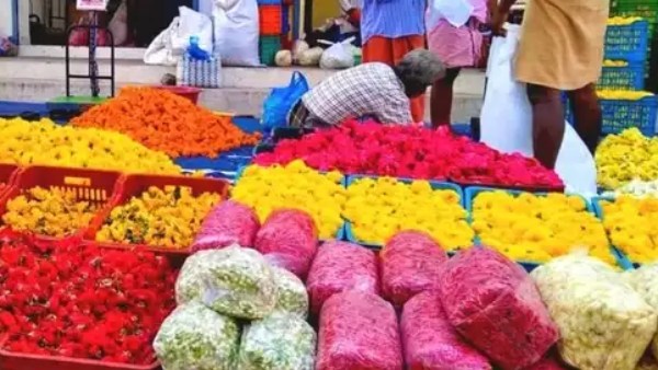 தோவாளை 