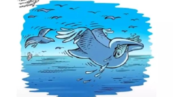  திருப்பி பாருங்கள் 