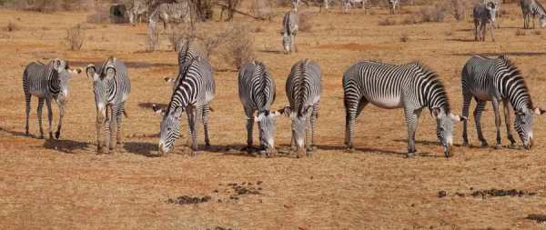 ஆப்டிகல் இல்யூசன் படம் 