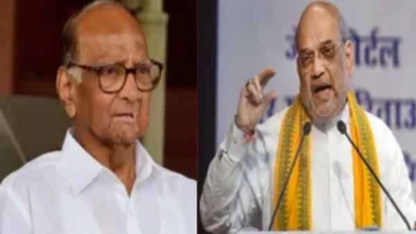 போர்க்கொடி