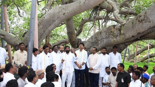 கரையான் 