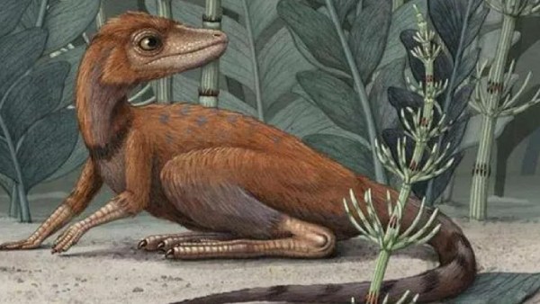  'ஜூராசிக் பார்க்' 