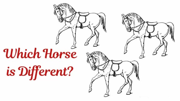 ஆப்டிகல் இல்யூஷன் 