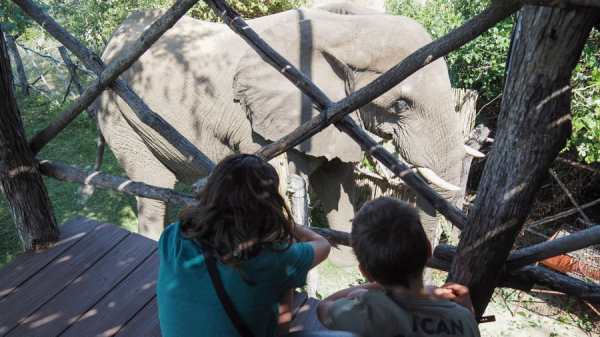 உலகை சுற்றும் குடும்பம் உலகை சுற்றும் குடும்பம்