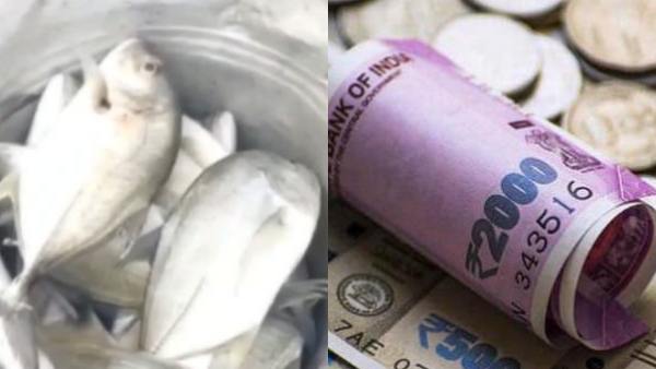 மீன்கள் விலை உயர்வு 