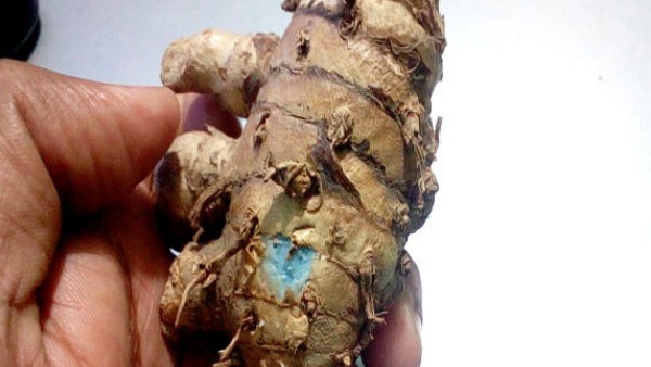 செய்வினை கோளாறுகள் நீங்கும் 