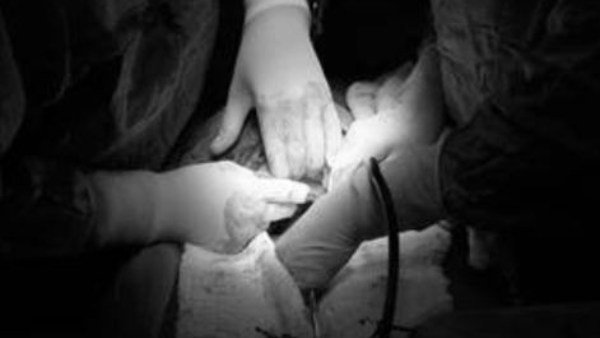  போராட்டம்