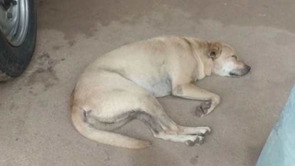 ரத்த காயம் 