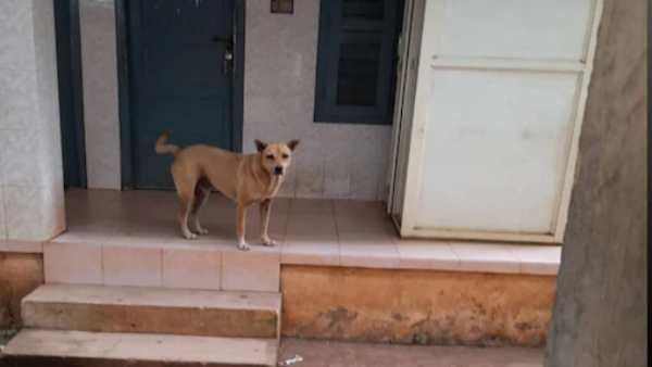 அந்நியர்கள் 