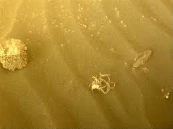 தீவிரம் காட்டும் உலக நாடுகள் தீவிரம் காட்டும் உலக நாடுகள்